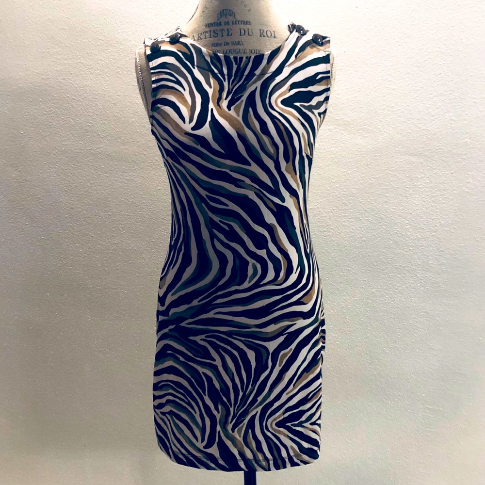 Banana Republic zebra striped dress